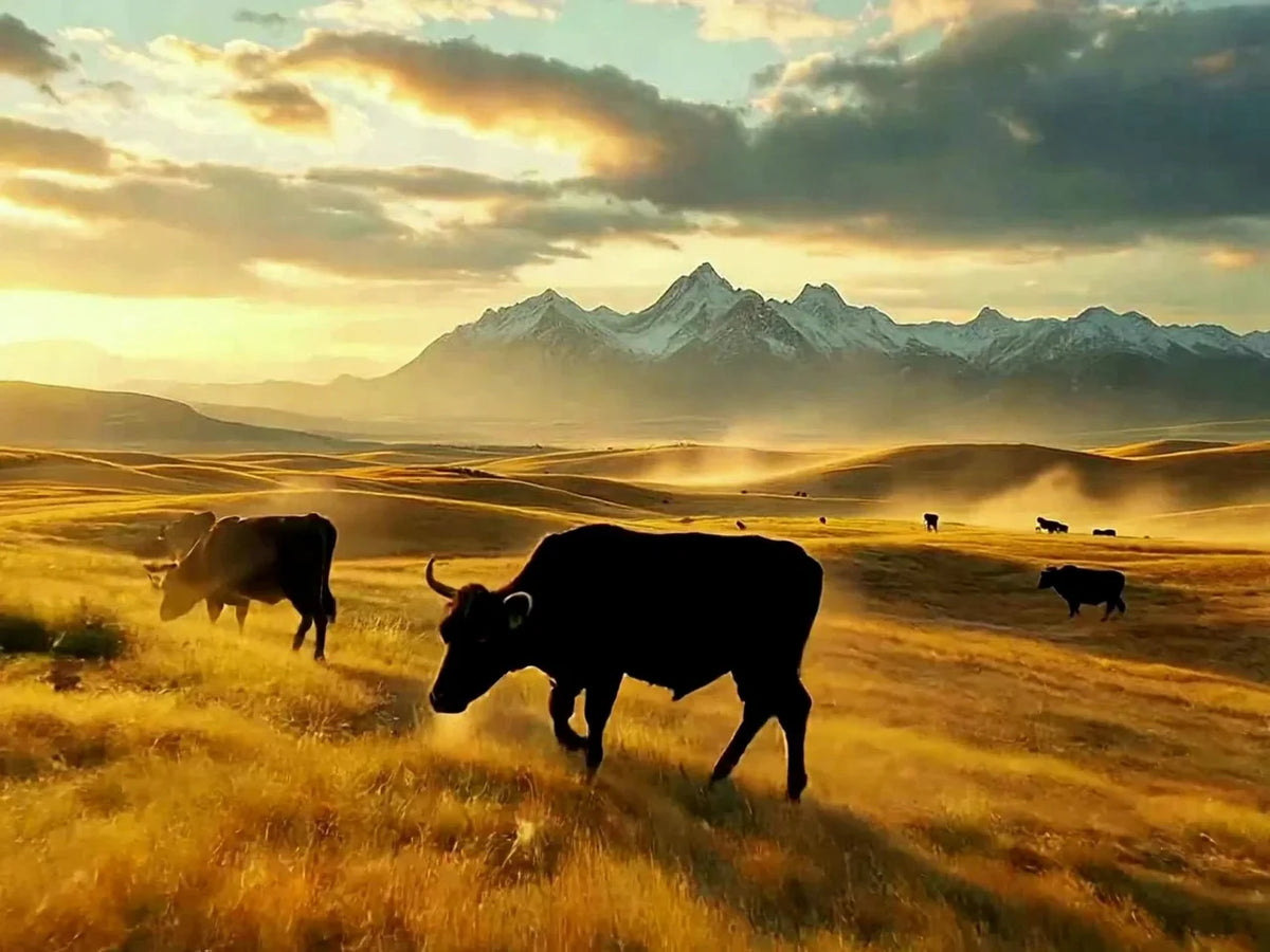 sterlingaaaboxedbeef-marbling.webp